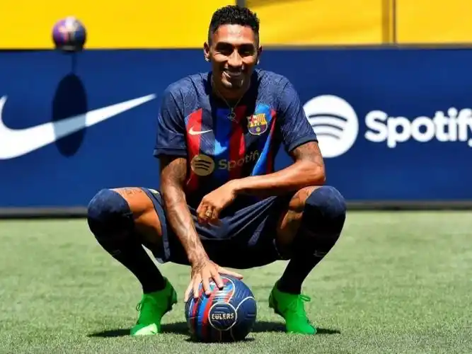 也印证了科 也印证了科